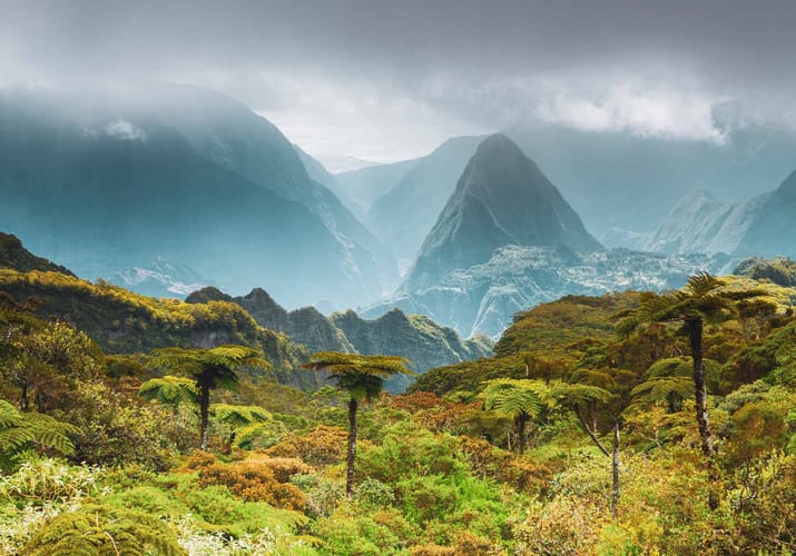 Réunion udsigt over nationalpark