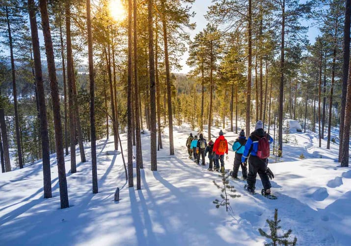 Finland Finske Lapland Nellim Wilderness Hotel, Vandring i Snesko, Vinter, Sne