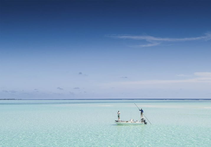 Maldiverne Como Maalifushi Fly Fishing