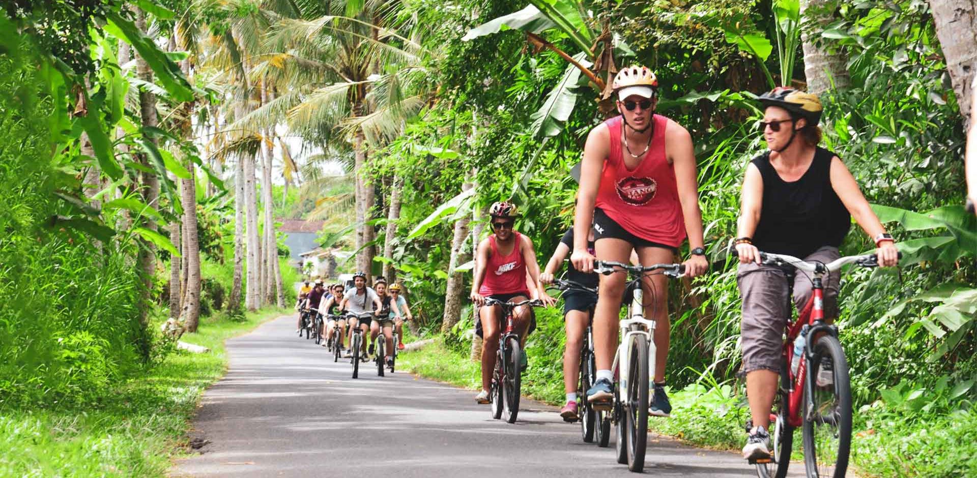 Bali udflugt bike baik gruppe cykler